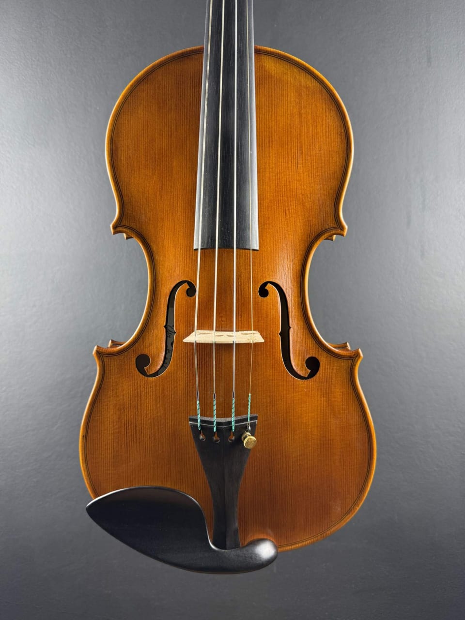 Vioară de maestru №294 — Nicolo Amati 1666