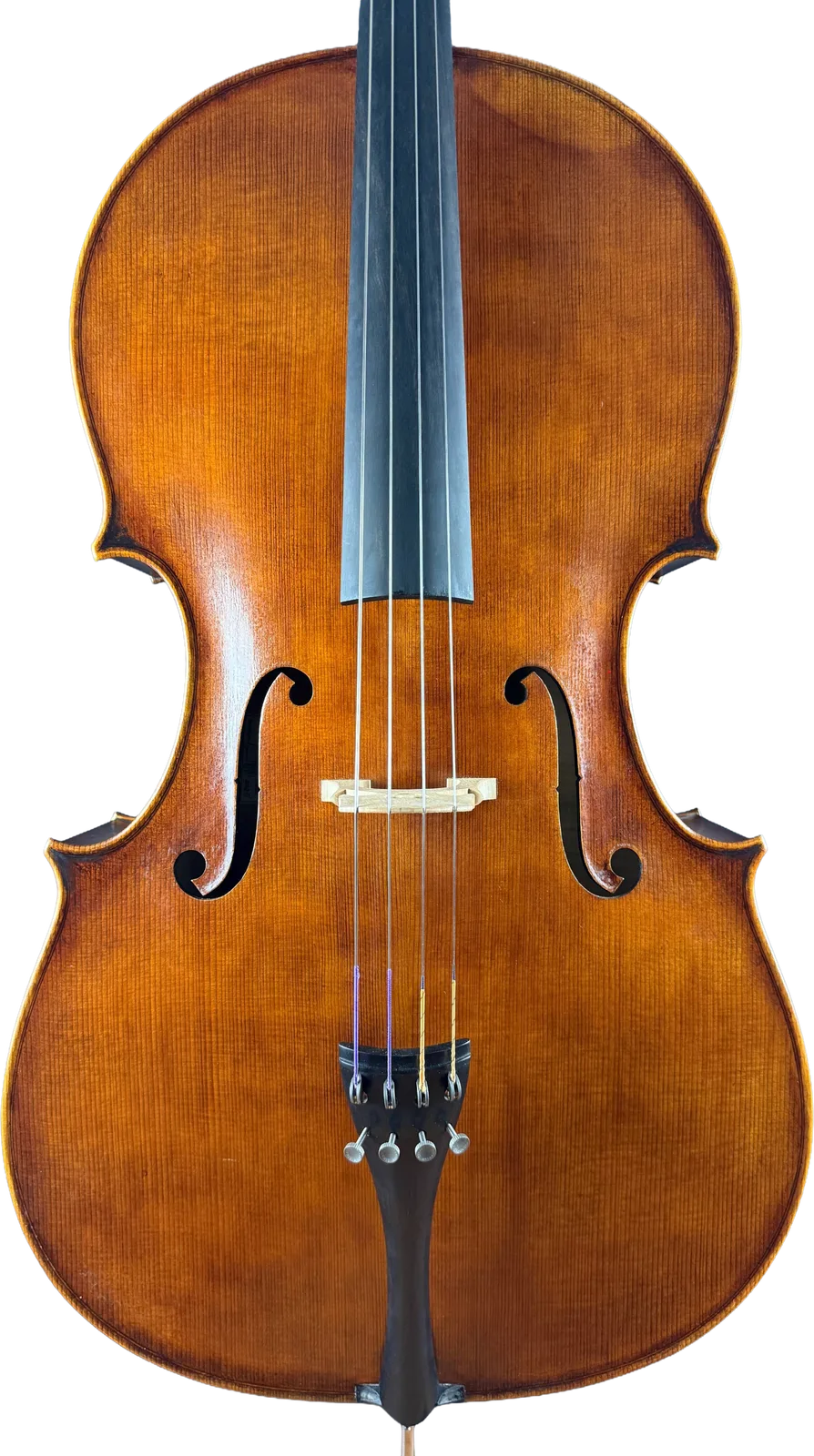 Violoncel de maestru №6 — Model Montagnana