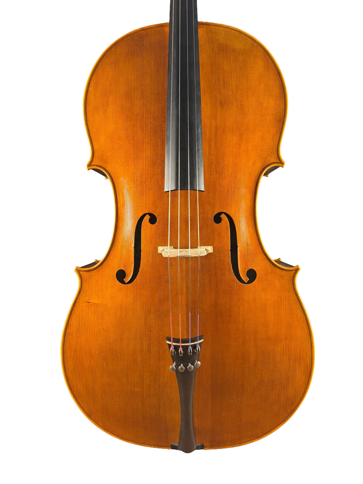 Violoncel de maestru №8 — Model Gofriller