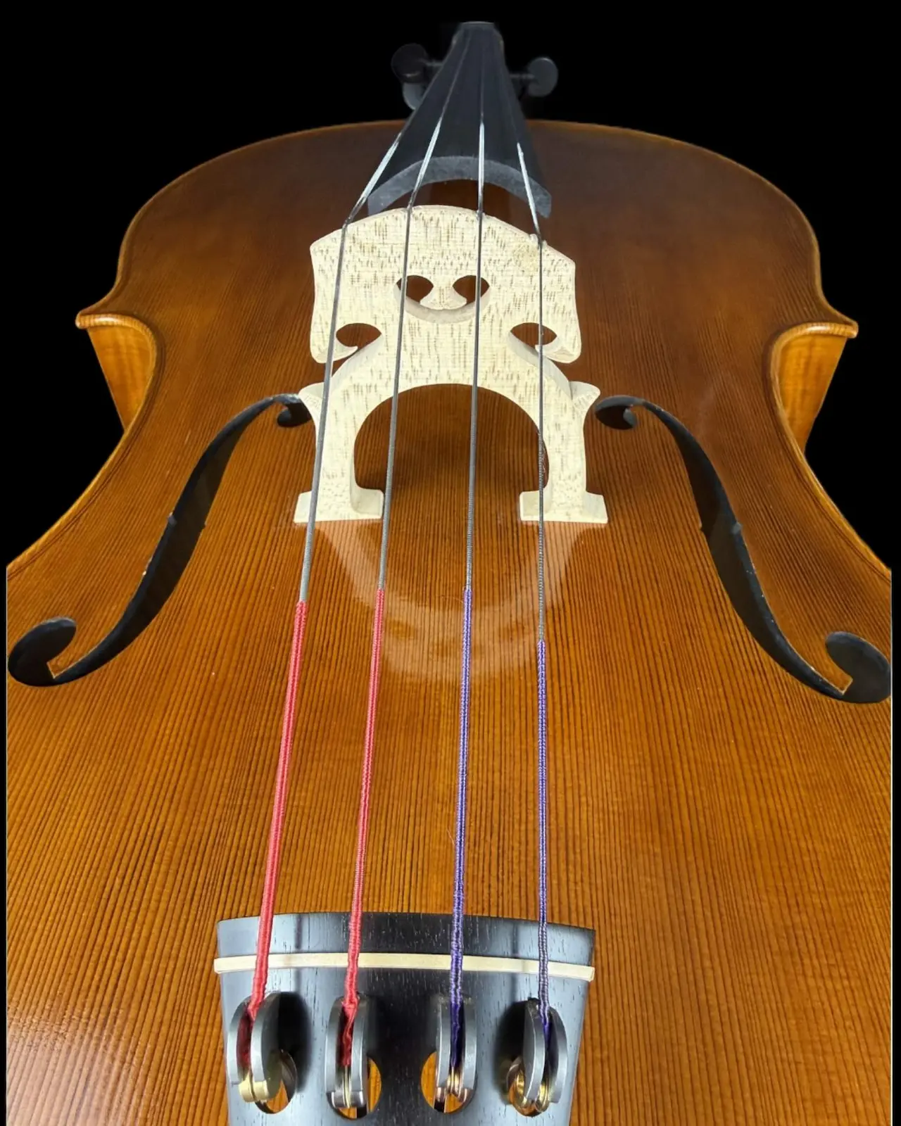 Master cello No. 67 — Matteo Gofriller 1693 — photo 2