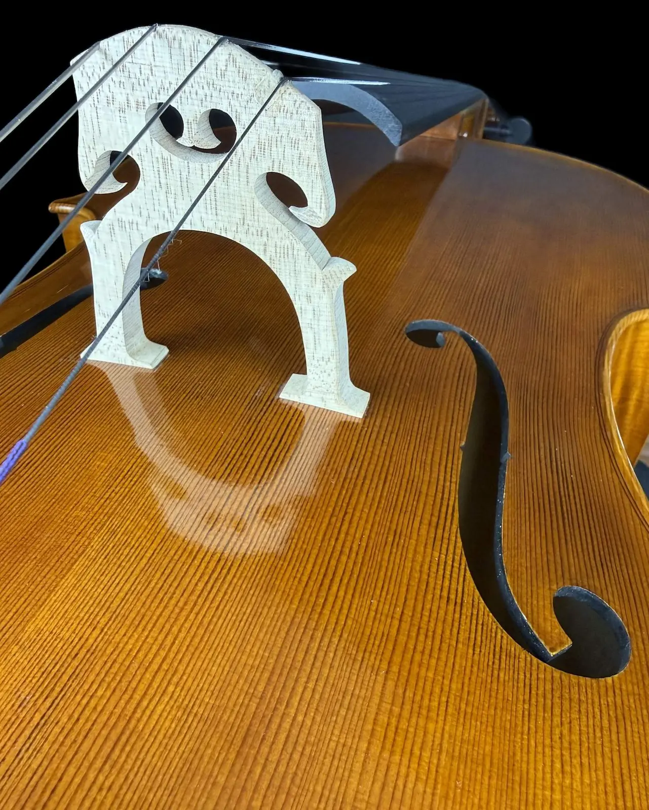 Master cello No. 67 — Matteo Gofriller 1693 — photo 3