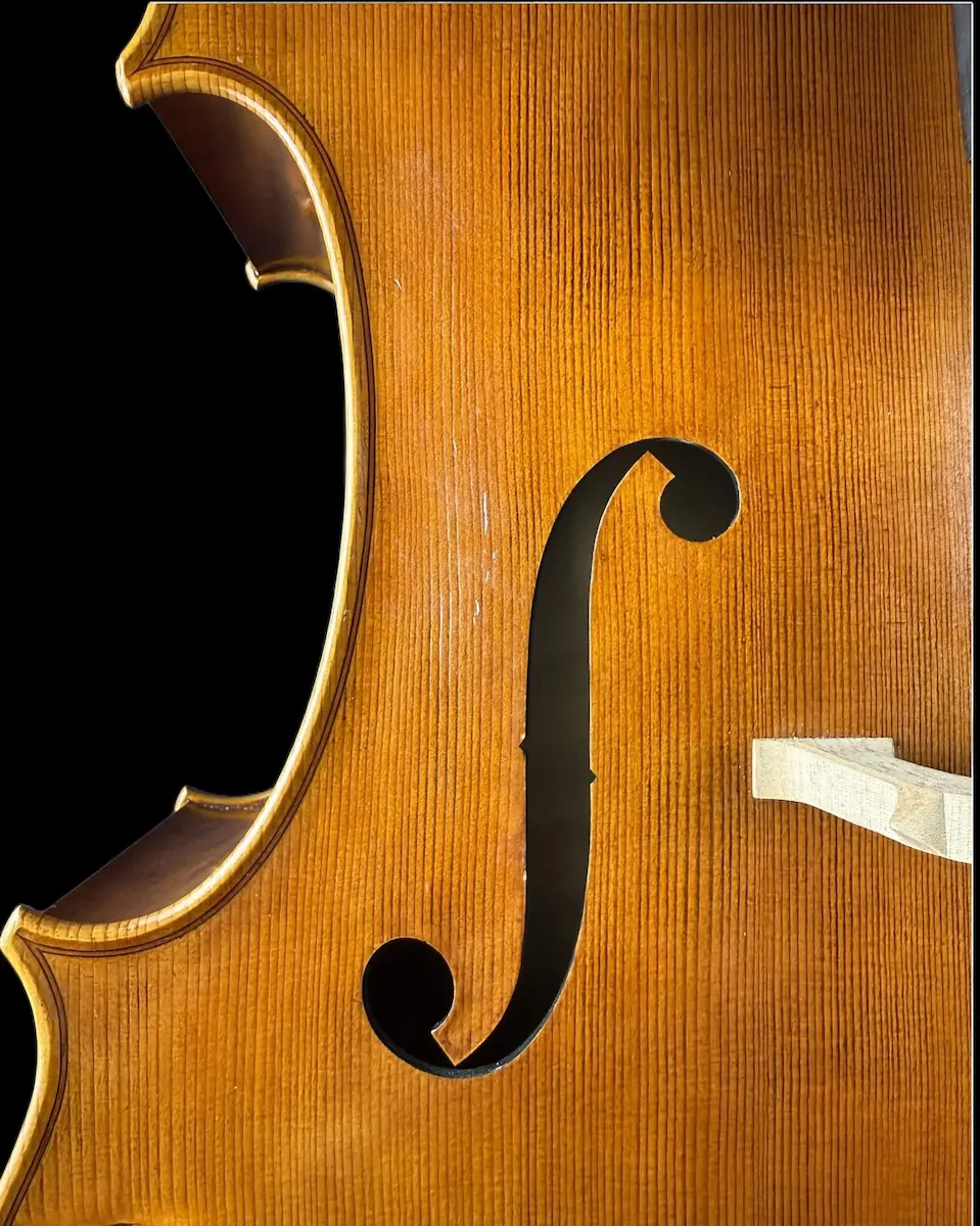 Master cello No. 67 — Matteo Gofriller 1693 — photo 4