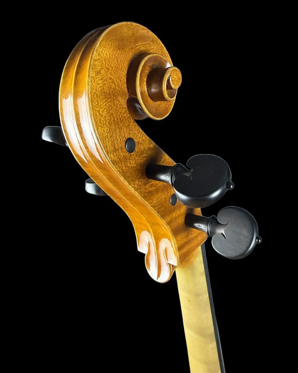 Master cello No. 67 — Matteo Gofriller 1693 — photo 5