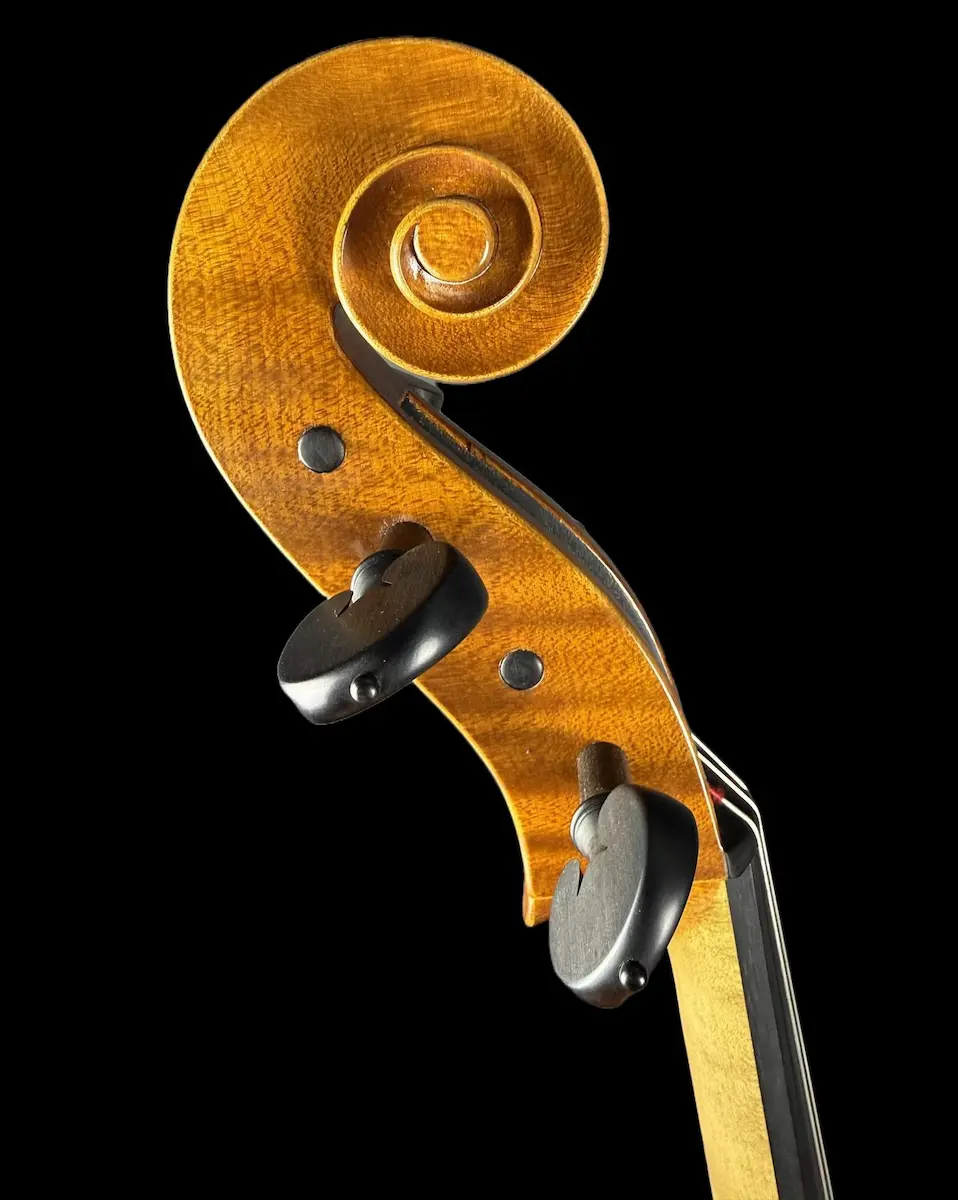 Master cello No. 67 — Matteo Gofriller 1693 — photo 6