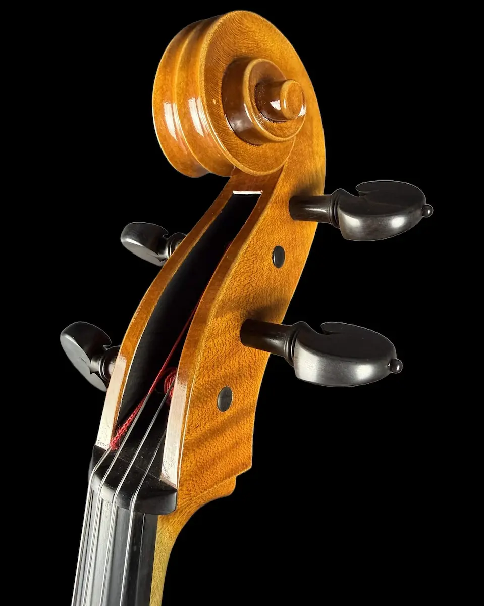 Master cello No. 67 — Matteo Gofriller 1693 — photo 7